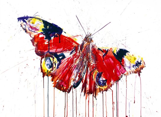 butterfly-giclee.jpg